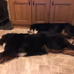 Rita doyle - @ritadoyle2348 - Instagram