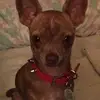 ritadube84 - @ritadube84 - TikTok