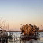 Santa Rita | Hunting Lodge - @santaritaduckhunting - Instagram