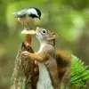 ritaeagle345 - @ritaeagle345 - TikTok