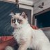Rita Eldridge - Facebook