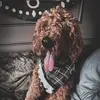 Rita Eldridge - @rita.eldridge8 - TikTok