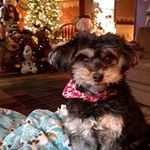 Tarita Elkins-Lough - @taritaelkinslough - Instagram