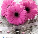 Rita Engel - @rita.engel.52687 - Instagram
