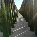 Rita Erwin - @rita.erwin.2002 - Instagram