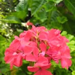 Rita Escalante - Facebook