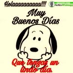 Rita Escalante Garcia - @ritaescalantegarcia - Instagram