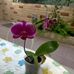 Rita Ester - Facebook