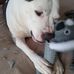 Rita Estes - Facebook