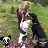 Rita Etter - @ritaetter - TikTok