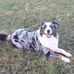 Rita Etter - Facebook
