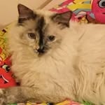 Rita Farley - @farley_rita - Instagram