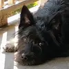 ritafeather - @ritafeather - TikTok