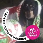 Rita Fenner - @rita.fenner.587 - Instagram