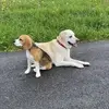 RITA - @ritafennerheimo - TikTok