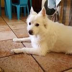 Fiore Rita - @fiore.rita.3 - Instagram