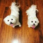 Rita Forrester - @annraines68 - Instagram