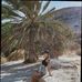 Rita Foster - Facebook