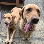 Rex And Rita Fowler - @rexandrita - Instagram