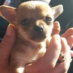 Rita Lynn Frye - @rital.brodersen - Instagram