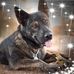 Rita Gasser - Facebook