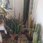 Rita Gatto - @rita.gatto.332 - Instagram