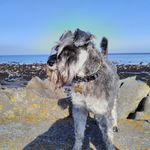 Rita Gavin Smith - @ritaandjamessmith - Instagram
