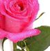 Rita Geisler - Facebook