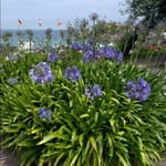 Rita Geyer-Fischer - @luzymuzy66 - Instagram