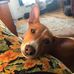 Rita Gildea-Bryant - Facebook