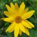 Theresine Gildea - Facebook