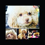 Rita gill - @ritagill660 - Instagram