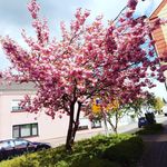Rita Glaser - @rr130188_ - Instagram