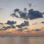 Rita Glaser - @trilogie82 - Instagram