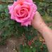 Rita Godoy - Facebook
