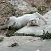 rita.gomez - @rita.gomeez - TikTok