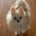 Rita Granger - Facebook
