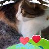 Rita Greens - @rita.greens - TikTok
