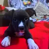 Rita Grilli - @rita.grilli - TikTok
