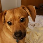 Rita Conley Grimes - @rritagrimes - Instagram