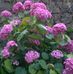 Rita Groff - Facebook
