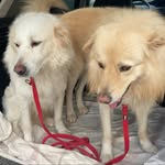 Rita Minguzzi - @ritaminguzzi - Instagram