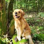 Rita Hagemann - @hagemann.rita - Instagram