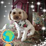 Rita Aurelia Escritt Hailey - @rita1eh - Instagram