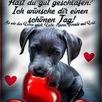 Rita Hallmann - @ritahallmann - Instagram