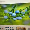 ritahallman53 - @rita.hallman3 - TikTok