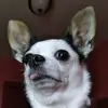 tkhalverson21 - @tkhalverson21_rita_ - TikTok