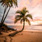 Rita Hamm - Facebook