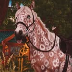 @rita._.crazy._.hammer - Instagram