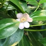 rita hammerberg - @ritahammerberg - Instagram
